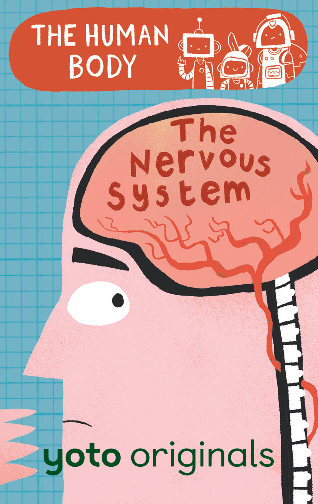 BrainBots: The Human Body